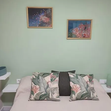 Centrico De Estilo Nordico أذيخي